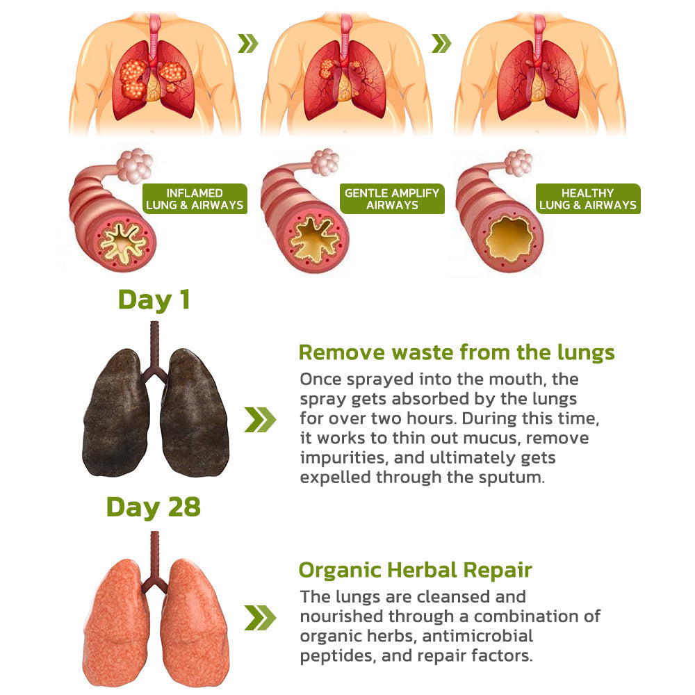 GFOUK™️ BreathDetox bylinný sprej na čištění plic